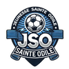 logo JSO (mini)